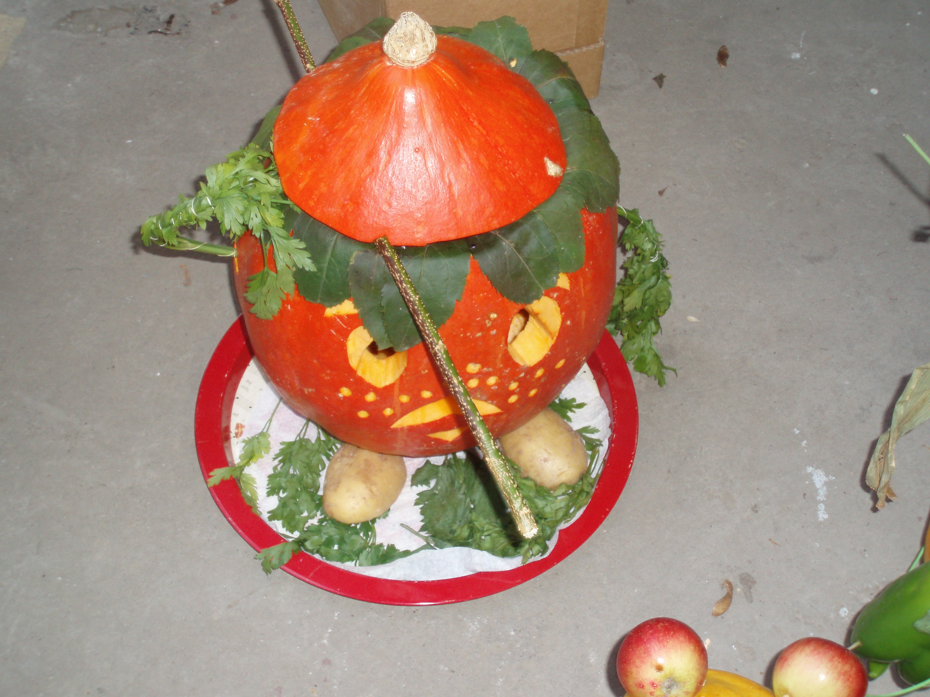 P1010012.JPG
