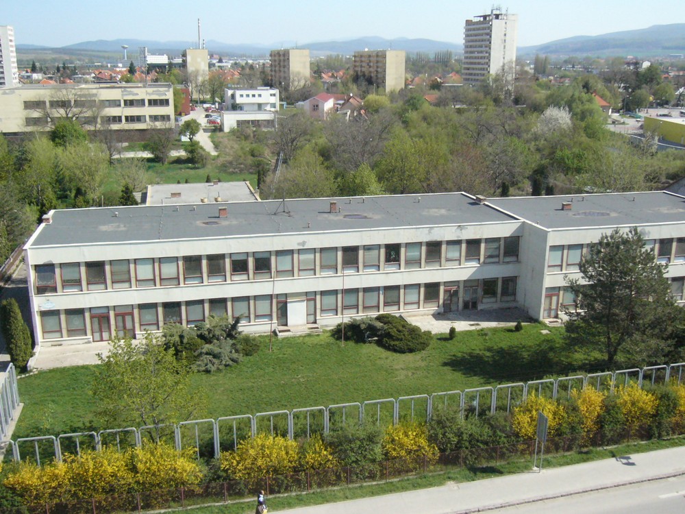 P1010898.JPG