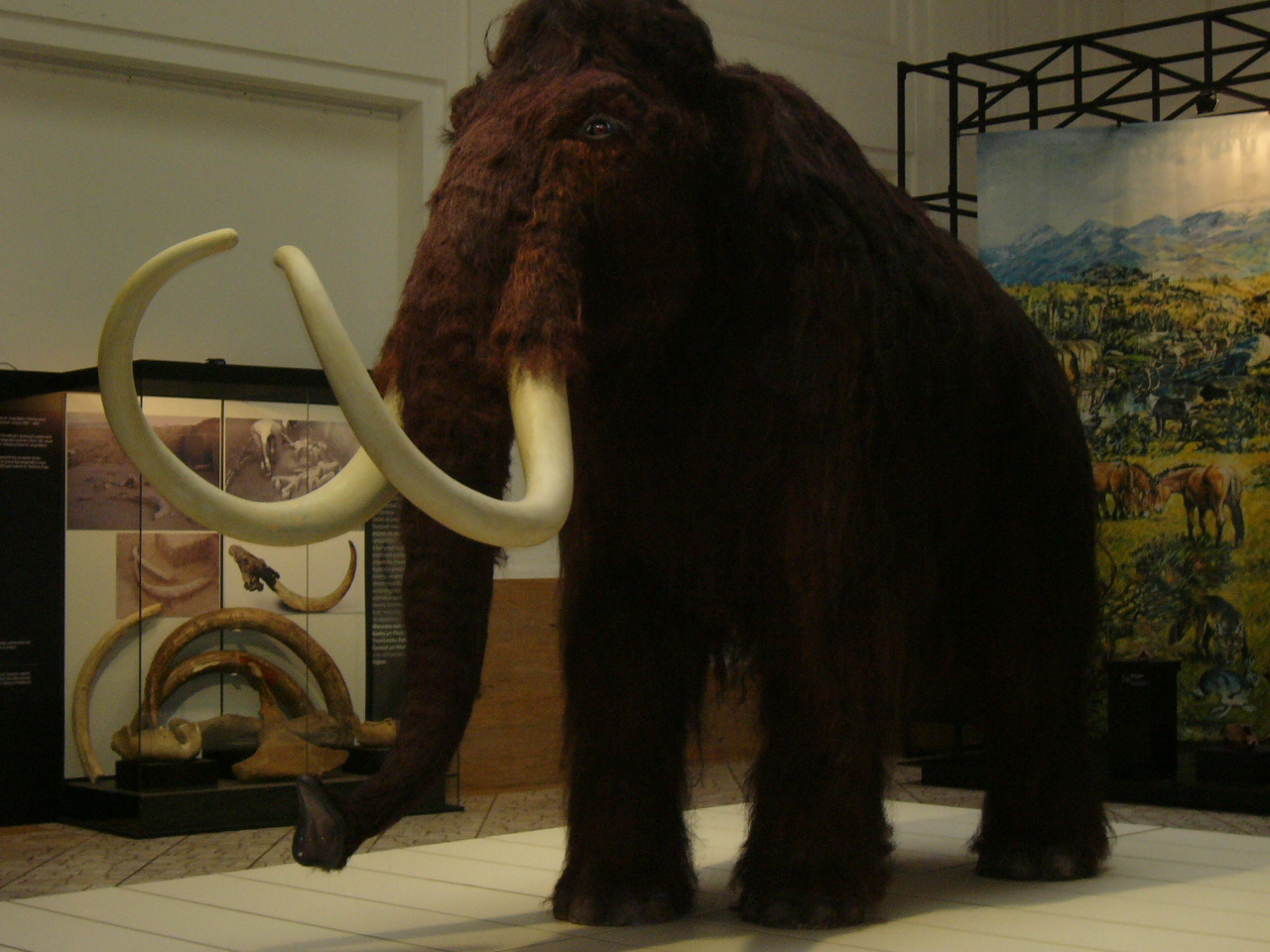 DC2006 041.jpg